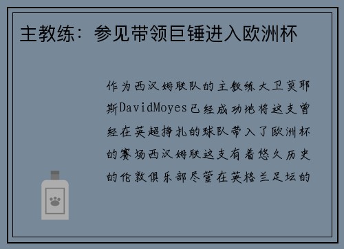 主教练：参见带领巨锤进入欧洲杯