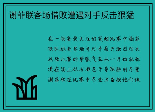 谢菲联客场惜败遭遇对手反击狠猛